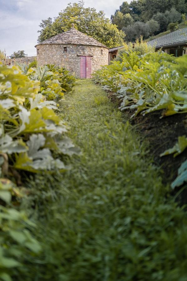 Вілла Agriturismo La Derta Белладжо Екстер'єр фото